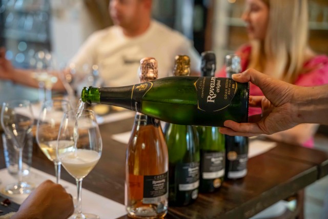 AMPOLLA GOTS DEGUSTACIÓ 640 Rovellats Cava Penedes