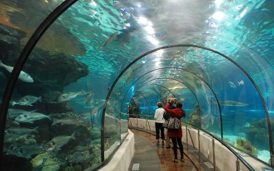 Explorar Barcelona con niños : 3 lugares que no puedes perderte